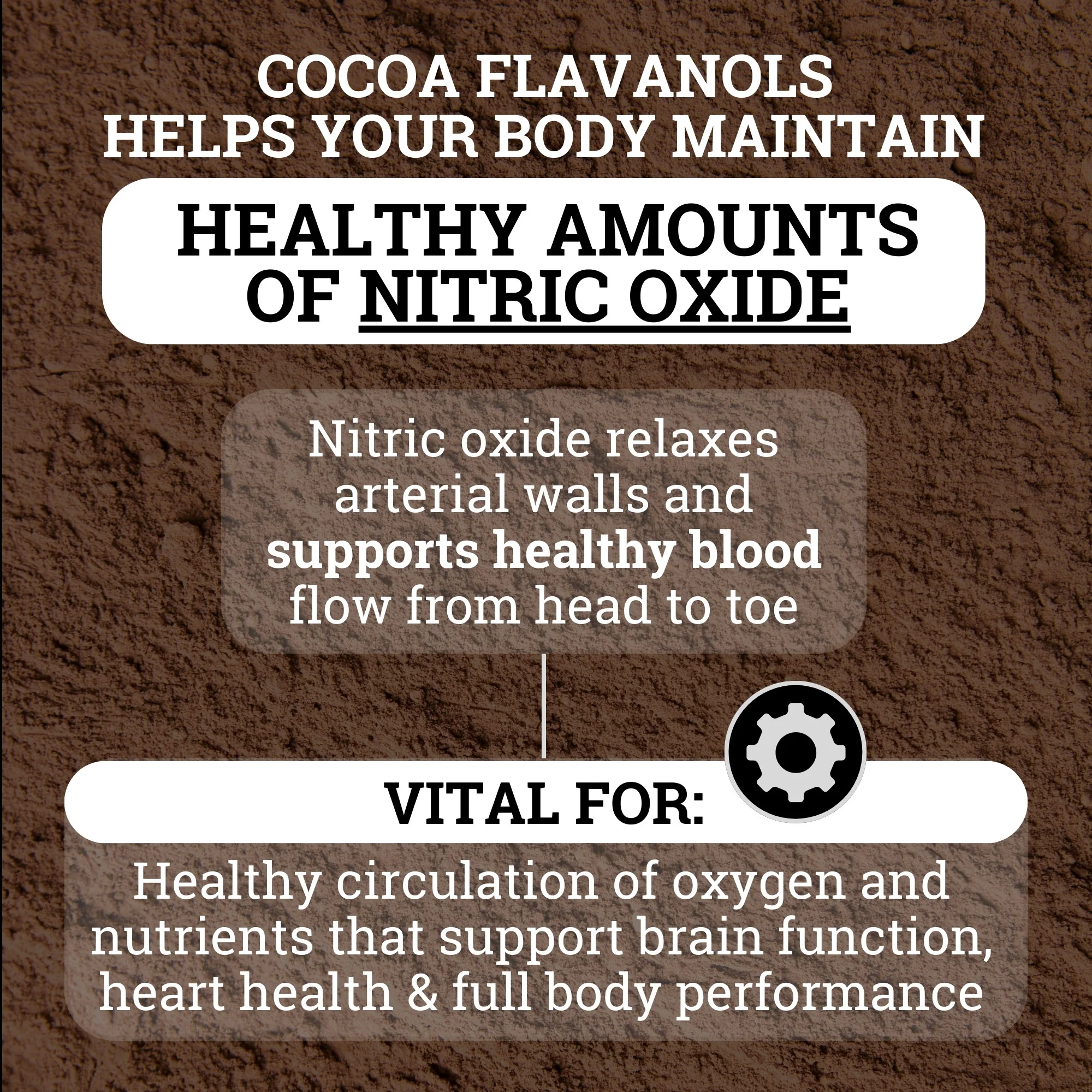 Cocoa Flavanols 1200MG | 12X Stronger than Regular Cocoa... - Image 6