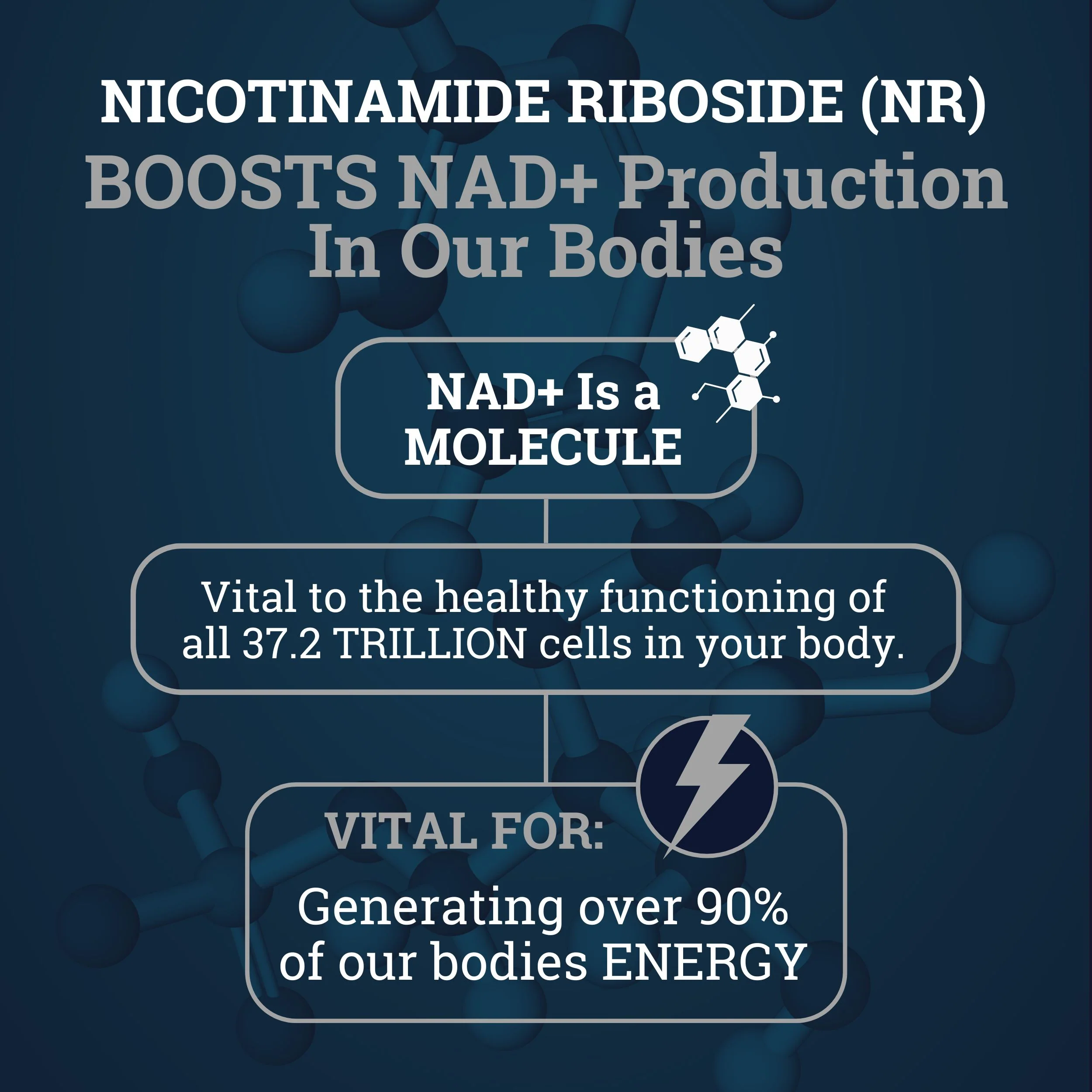 Nicotinamide Riboside (NR) 1550MG | With Quercetin & Resveratrol - Image 6