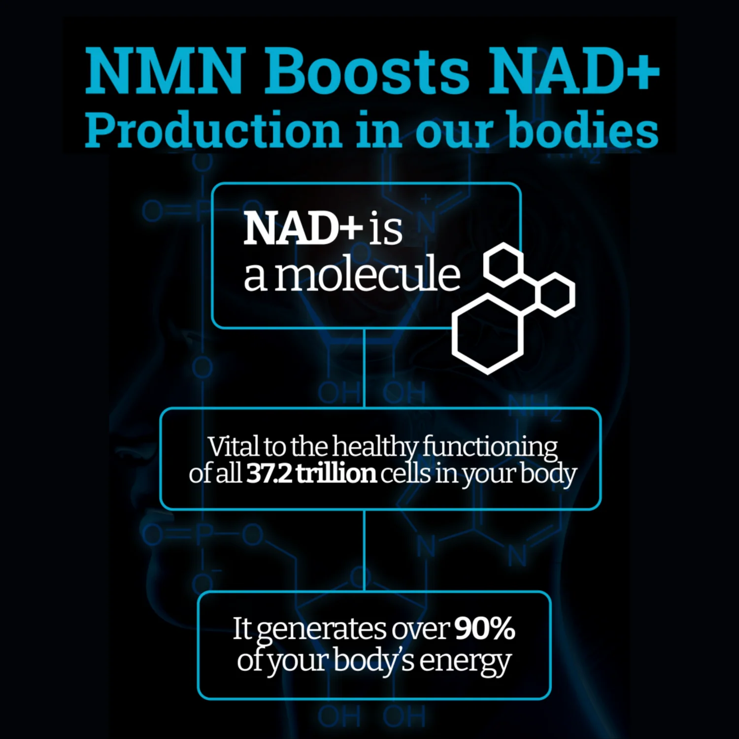 NMN 1000MG | Enhanced with BioPerine® for 3X Absorption - Image 3