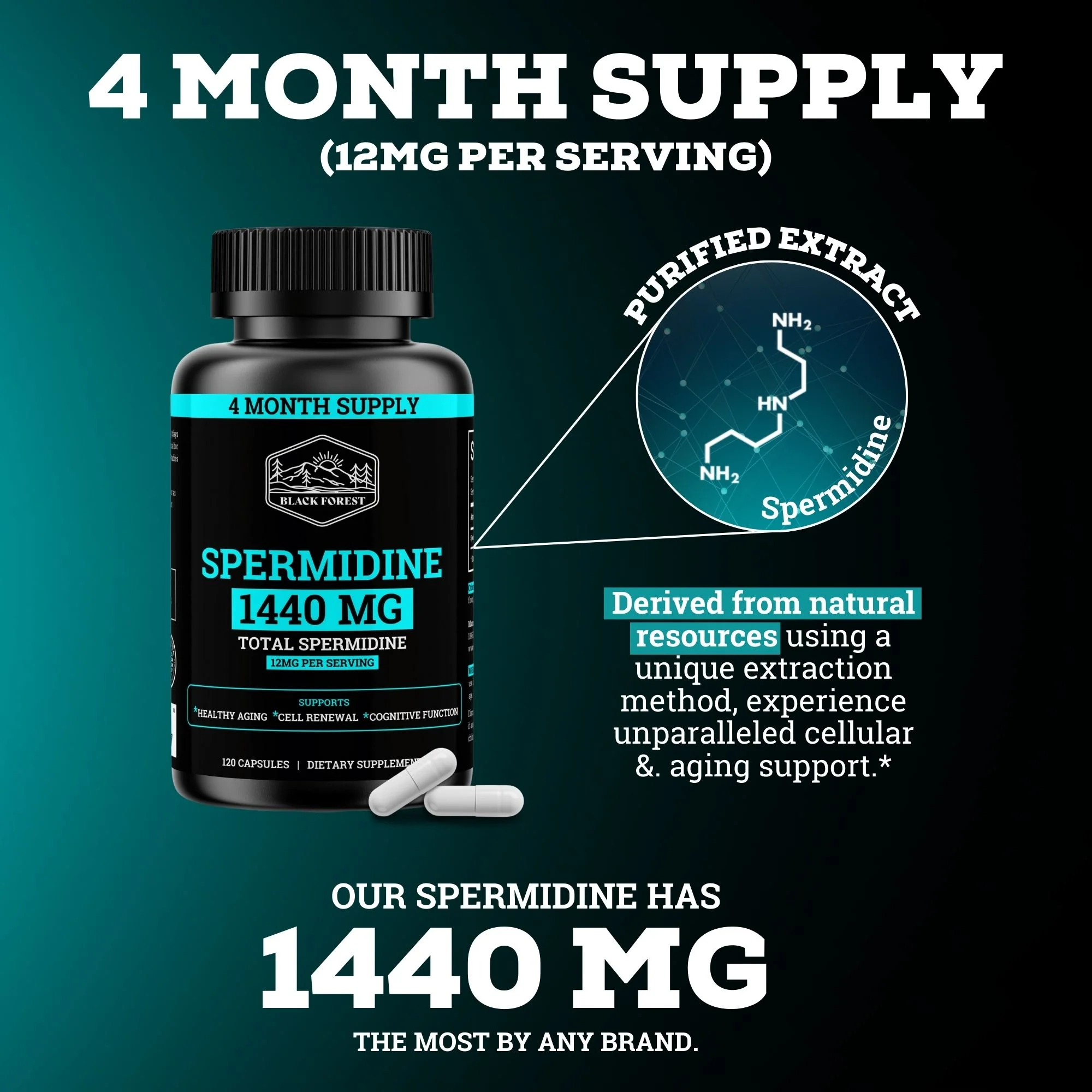 Spermidine 1440MG | 12MG Per Capsule | 4 Month Supply - Image 4