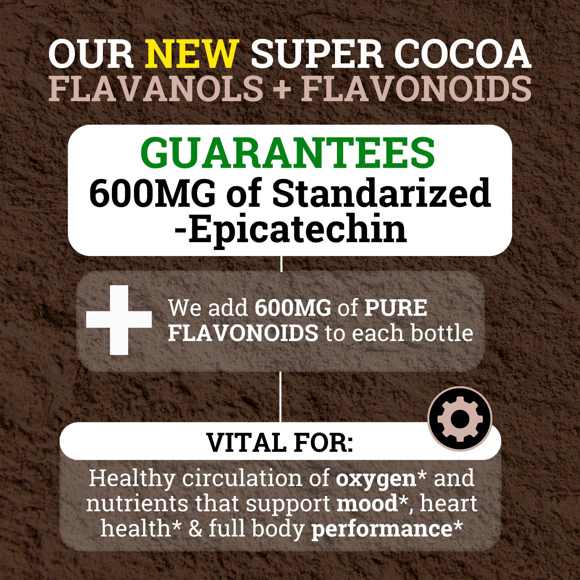 Supercharged Cocoa Flavanols + Flavonoids - Image 3