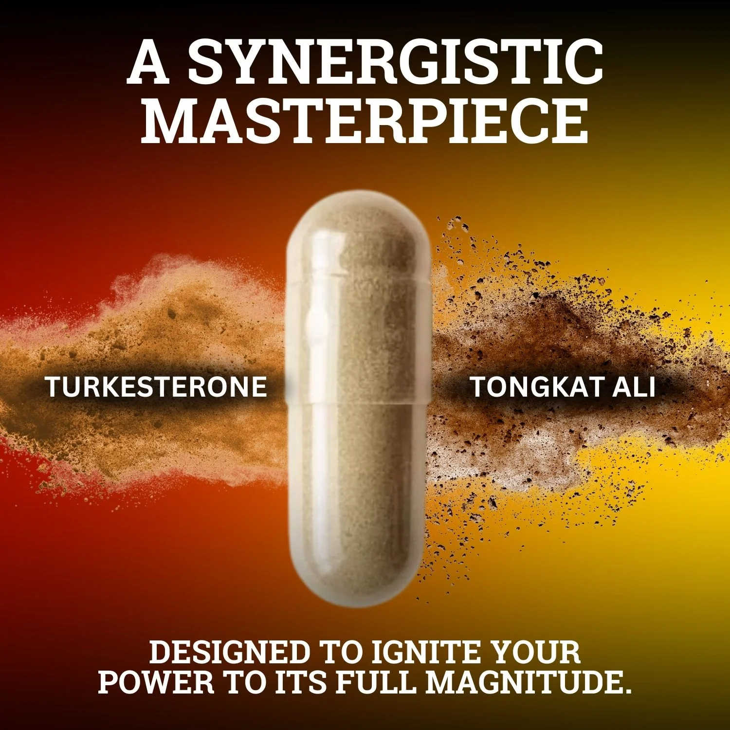 Turkesterone & Tongkat Ali | 1000MG | (Max Purity) - Image 5