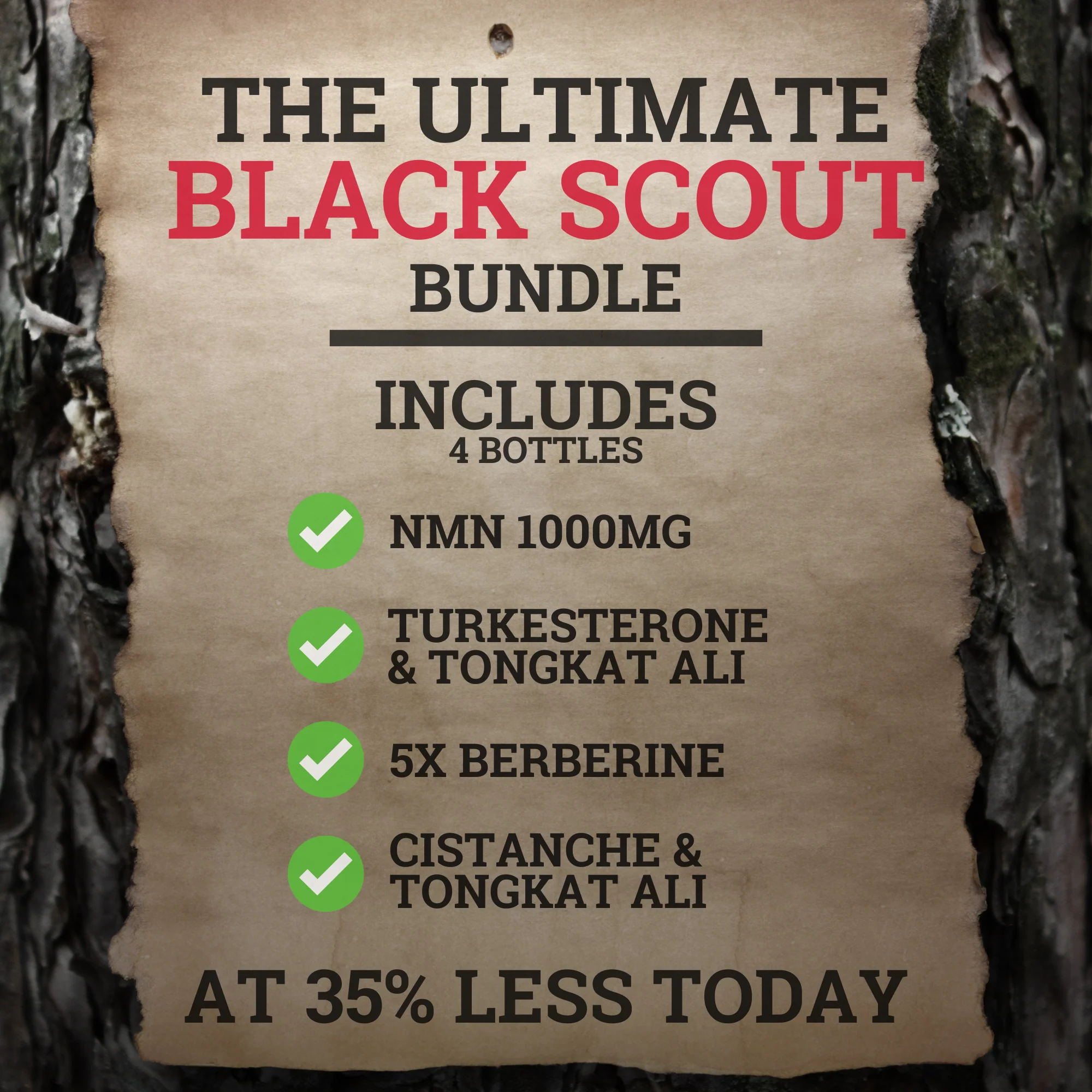 Black Scout's REVAMPED Stack - Image 4